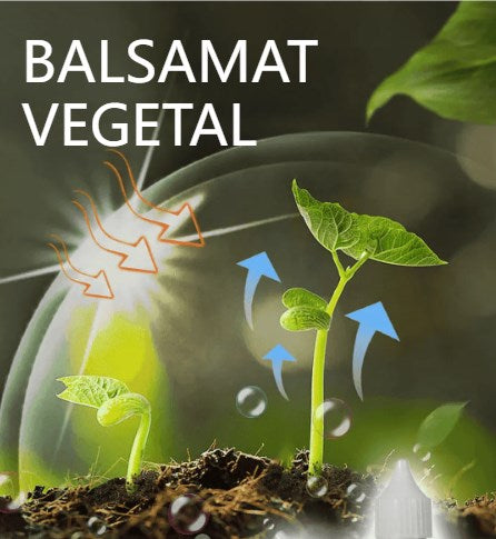 🌱🌱【3 броя】Течност за активиране на растения и цветя