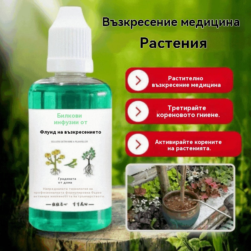 🌱【10 броя】Специален хранителен разтвор за активиране на зелени растения и цветя, универсален за градинарство
