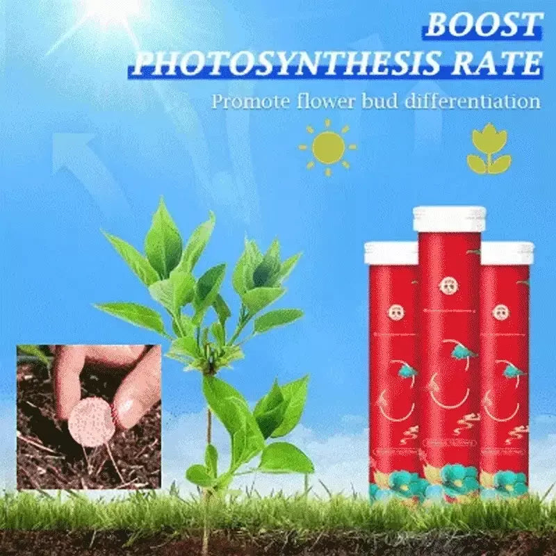 🌱【3 бр.】🪴Органичен тор за домашно градинарство с общо предназначение, тор с бавно освобождаване🌱