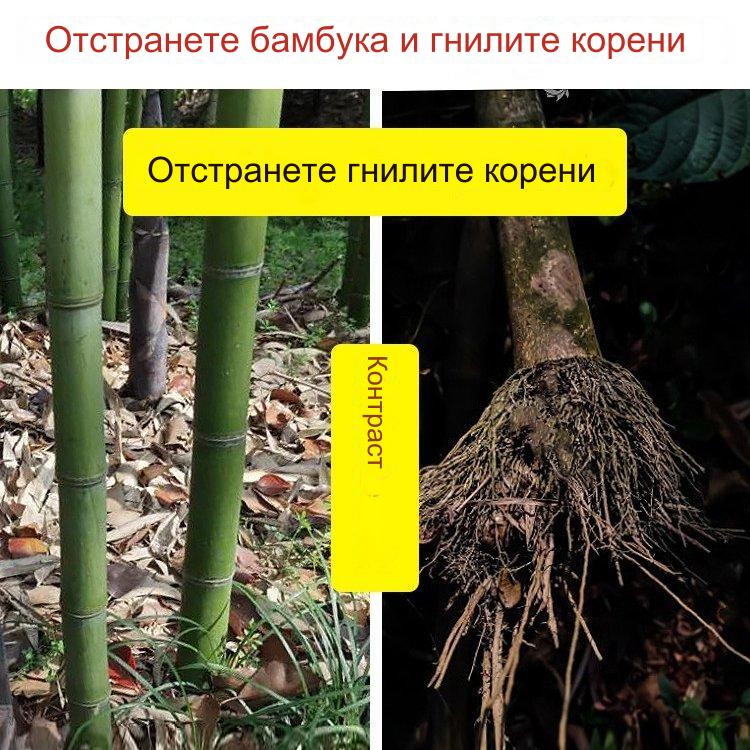 🔥【продават като топъл хляб】👍🌱циклозинонов хербицид