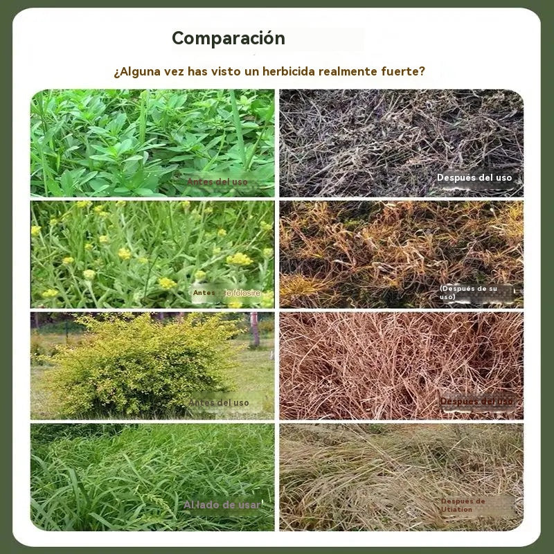🌿【Купете 1, вземете 2 безплатно】Силно концентриран хербицид на базата на глуфозинат амониев 👍 (Офертата е за ограничено време)