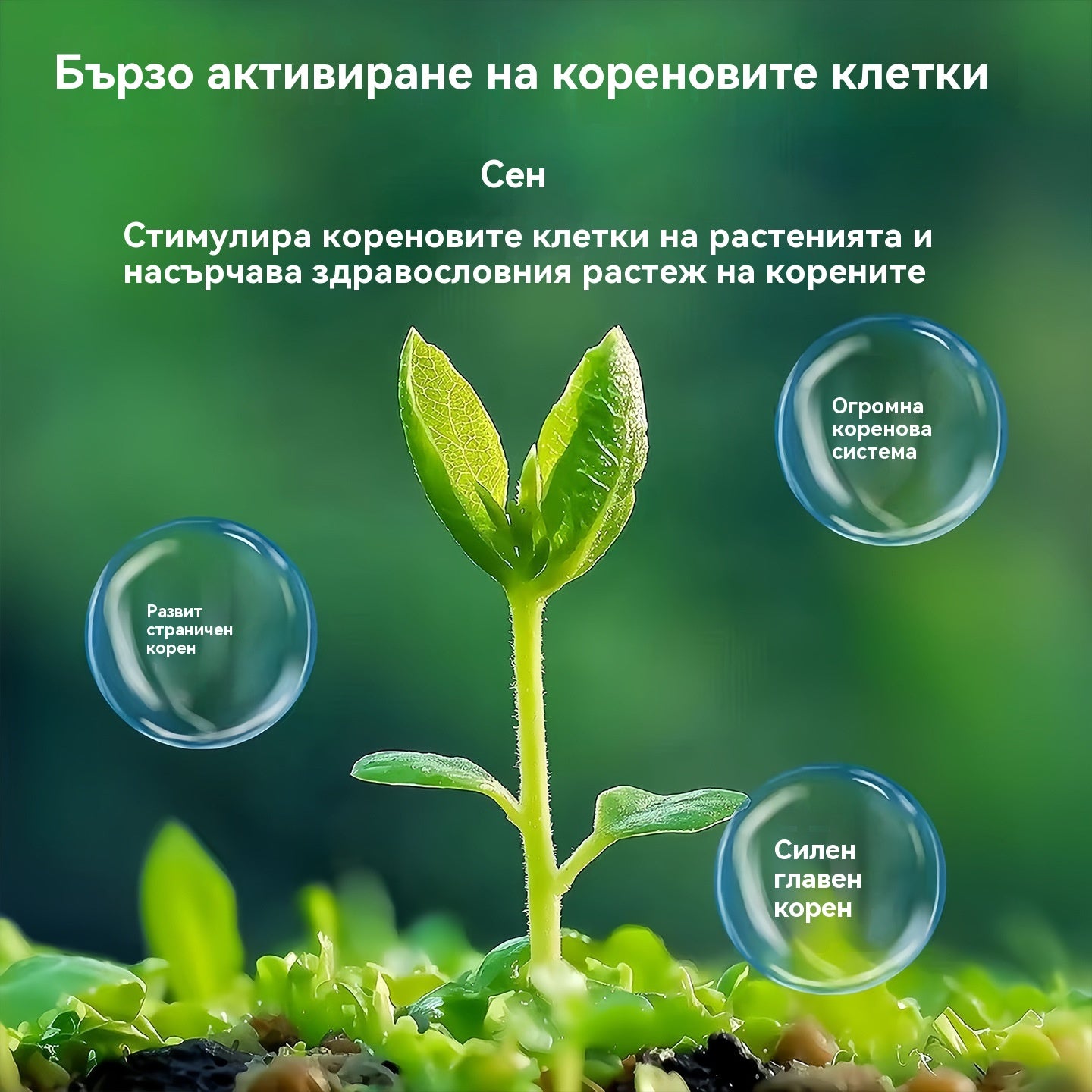 🎁 Гореща разпродажба 70% ОТСТЪПКА 🔥Универсален концентриран течен тор
