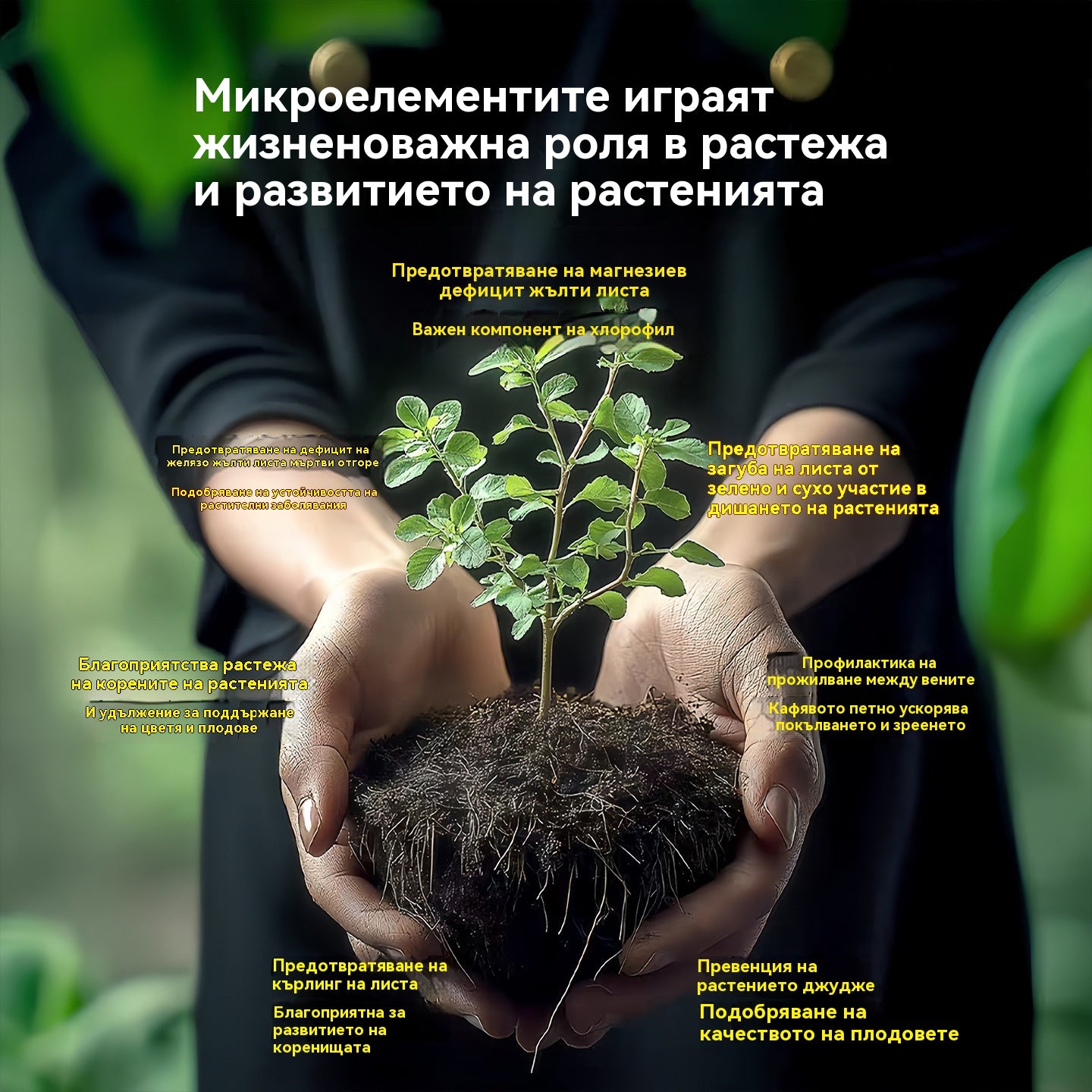 🎁 Гореща разпродажба 70% ОТСТЪПКА 🔥Универсален концентриран течен тор