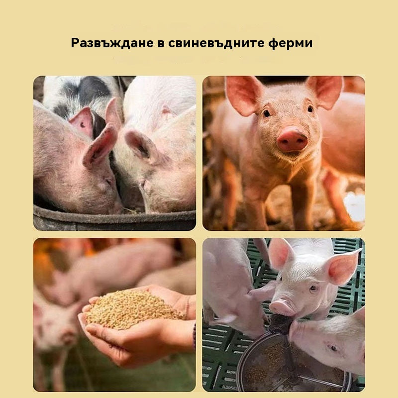 🔥Добавки за угояване и наддаване на тегло за свине, говеда и овце✅Увеличава месото✅Удължава скелета✅Фураж за угояване