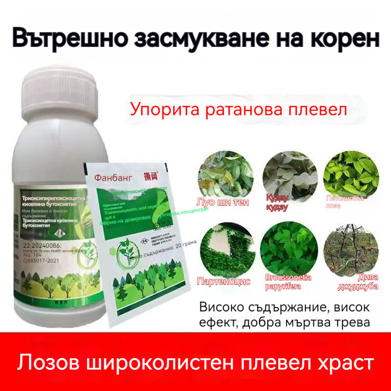 🔥【10 пакетчета】💥Мощен препарат за унищожаване на плевели и кореново гниене💥Предназначен за плевели като лози, бръшлян, пълзящи растения и храсти, той действа в рамките на 6 часа и разрушава синтеза на протеини и пигменти в плевелите!