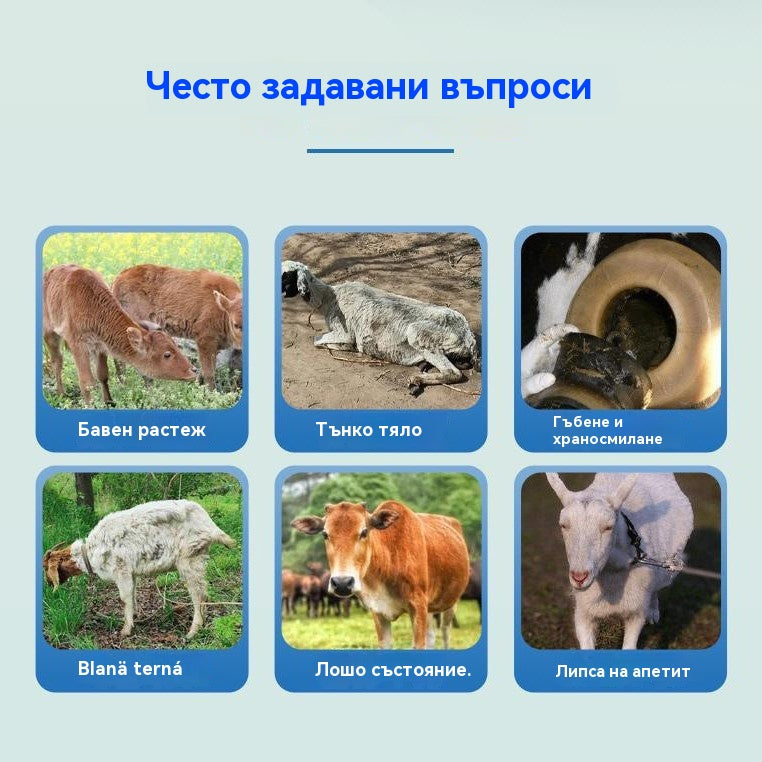 【Намалена цена за ограничен период от време】🔥Храна за угояване на свине, говеда и овце✅Отглежда месо✅Укрепва костите✅Угоява✔Изгражда мускулна маса