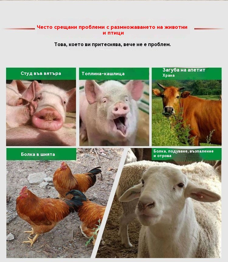 【250/500/1000 мл】Four Seasons Poultry ✅Настинка при пилета, патици и гъски ✅Коклюш ✅Антивирусно ✅Треска при пилета ✅Общо за свине, говеда и овце