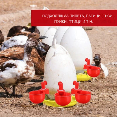 🐔Автоматична поилка за домашни птици