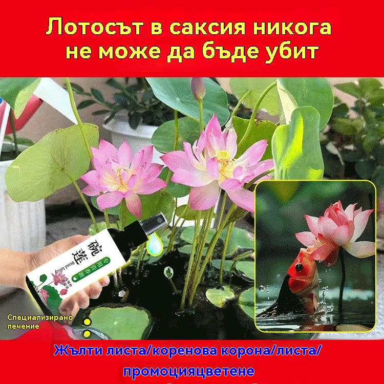 🌷【3 бутилки】 Разтвор за растителни торове, специален разтвор за водни лилии