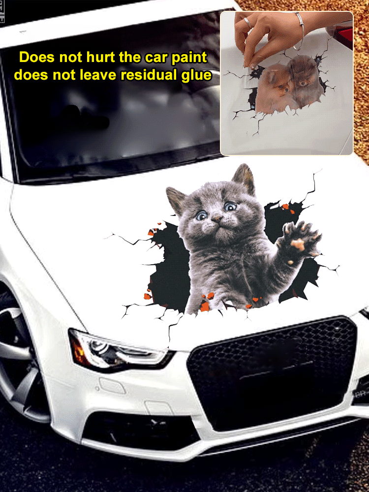 【Купете 1, вземете 1 безплатно】🐱Триизмерен стикер за кола с котка, може да се използва за стенни стикери в банята, спалнята и хола.