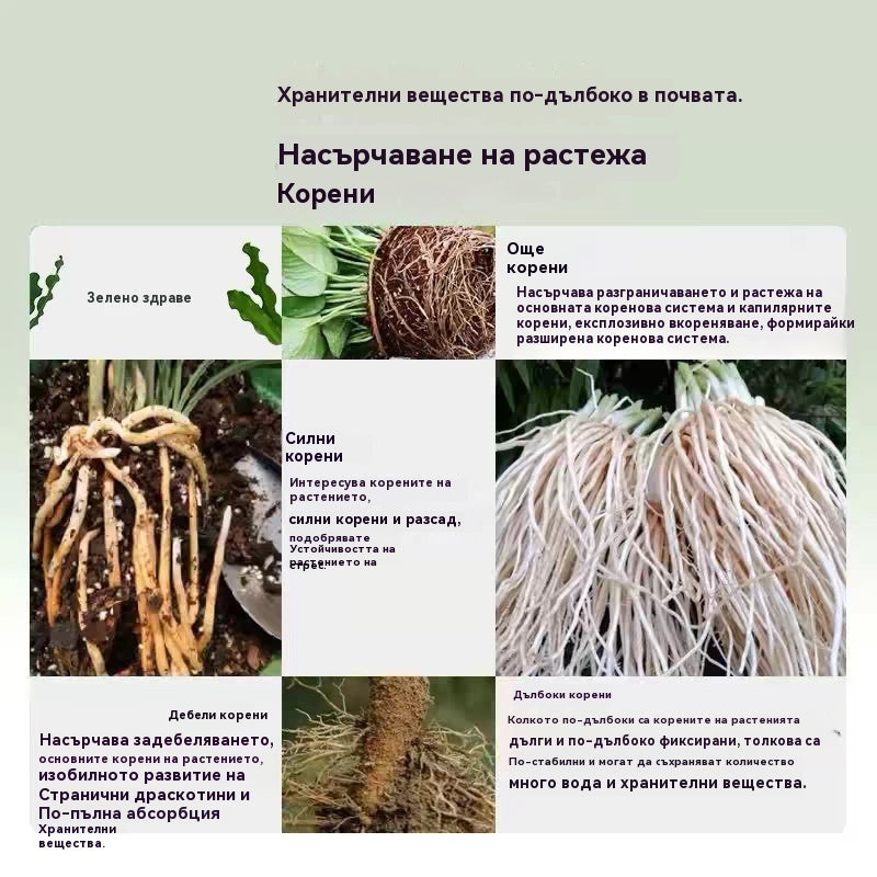 🔥🌱【15 пакетчета】🌱Прах за бързо вкореняване – стимулатор на корени за дървета, разсад и цветя