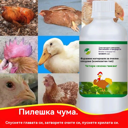 【250/500/1000 мл】Four Seasons Poultry ✅Настинка при пилета, патици и гъски ✅Коклюш ✅Антивирусно ✅Треска при пилета ✅Общо за свине, говеда и овце