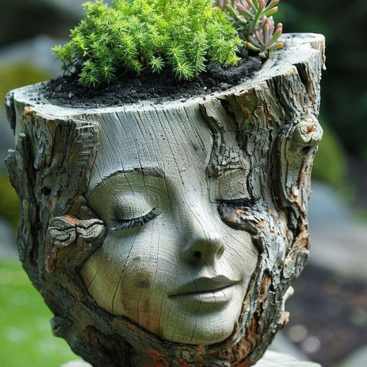 Саксия за цветя Stump Girl