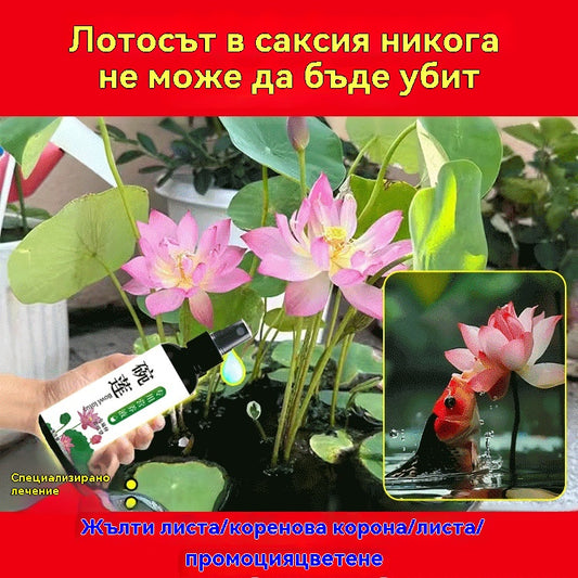 🌷【3 бутилки】 Разтвор за растителни торове, специален разтвор за водни лилии